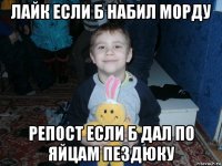 лайк если б набил морду репост если б дал по яйцам пездюку