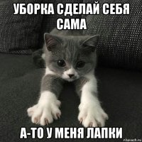 уборка сделай себя сама а-то у меня лапки