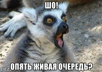 шо! опять живая очередь?