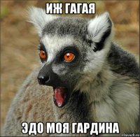 иж гагая эдо моя гардина