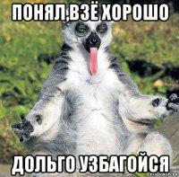 понял,взё хорошо дольго узбагойся