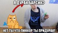 я дурак барсик? нет ты что линкор ты придурак!