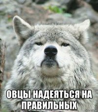  овцы надеяться на правильных