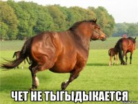  чет не тыгыдыкается