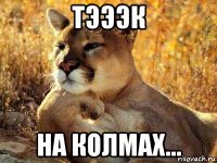 тэээк на колмах...