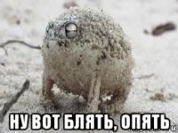  ну вот блять, опять