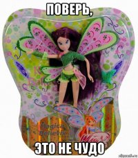 поверь, это не чудо