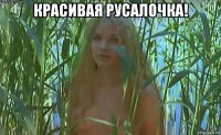 красивая русалочка! 