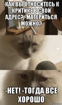 -как вы относитесь к критике в свой адрес? -материться можно? -нет! -тогда все хорошо