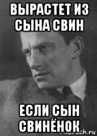 вырастет из сына свин если сын свинёнок