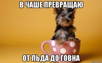 в чаше превращаю от льда до говна