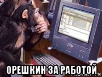  орешкин за работой