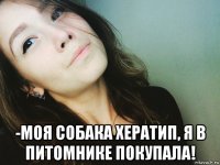  -моя собака хератип, я в питомнике покупала!