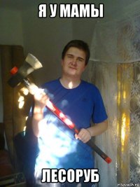 я у мамы лесоруб