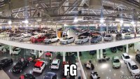  fg