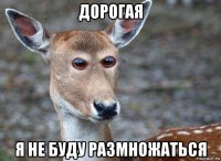 дорогая я не буду размножаться
