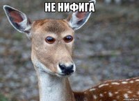 не нифига 