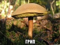  грип