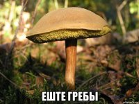  еште гребы