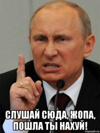  слушай сюда, жопа, пошла ты нахуй!