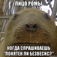 лицо ромы когда спрашиваешь "понятен ли безвесис?"