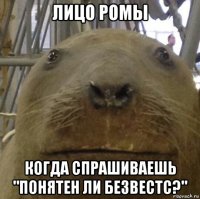 лицо ромы когда спрашиваешь "понятен ли безвестс?"