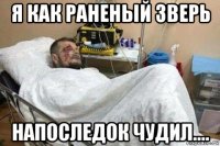 я как раненый зверь напоследок чудил....
