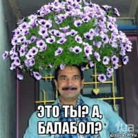  это ты? а, балабол?