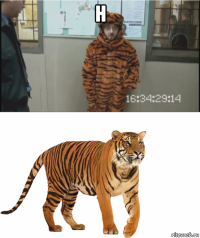 н 