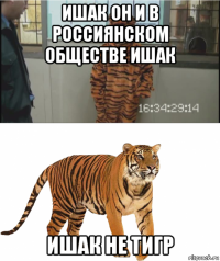 ишак он и в россиянском обществе ишак ишак не тигр