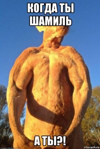 когда ты шамиль а ты?!