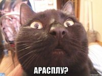  арасплу?