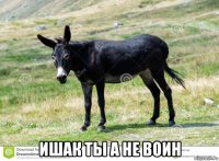  ишак ты а не воин