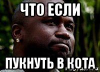 что если пукнуть в кота