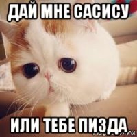 дай мне сасису или тебе пизда