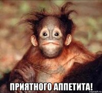  приятного аппетита!