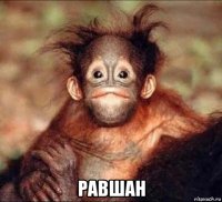  равшан