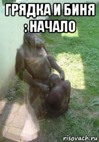 грядка и биня : начало 
