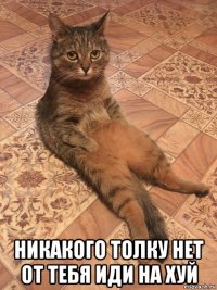  никакого толку нет от тебя иди на хуй