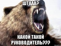 штааа? какой такой руководитель???