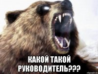  какой такой руководитель???