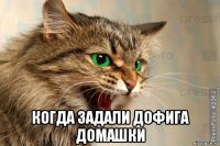  когда задали дофига домашки