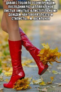 давай с тобой по осени пройдём, последний раз цепляя клёнов листья, омытые «блистательным» дождём, как говорят поэты и стилисты... м. васильков 