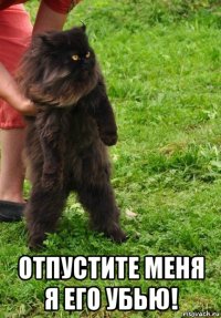  отпустите меня я его убью!