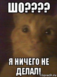 шо???? я ничего не делал!