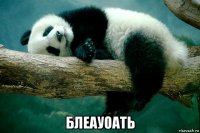  блеауоать