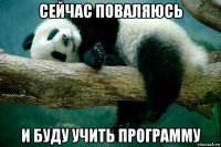 сейчас поваляюсь и буду учить программу