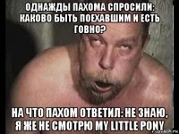 однажды пахома спросили: каково быть поехавшим и есть говно? на что пахом ответил: не знаю, я же не смотрю my little pony
