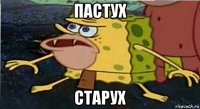 пастух старух