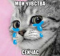 мои чувства сейчас
